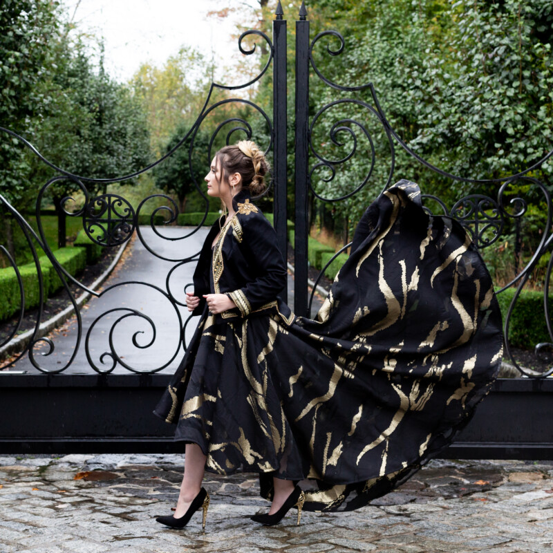 The Iris Skirt Redux