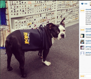 Swatch wearing apron