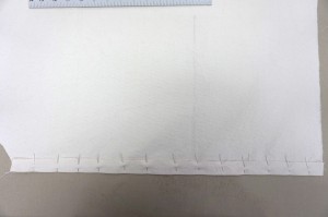 DSC00212