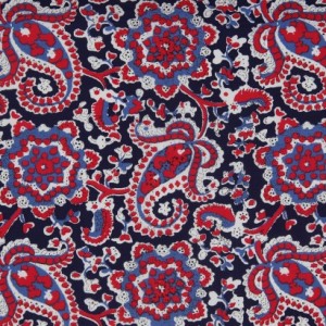 Navy.RedMoodPaisley