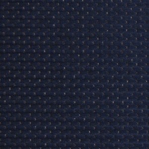 NavyBlueAthleticMesh