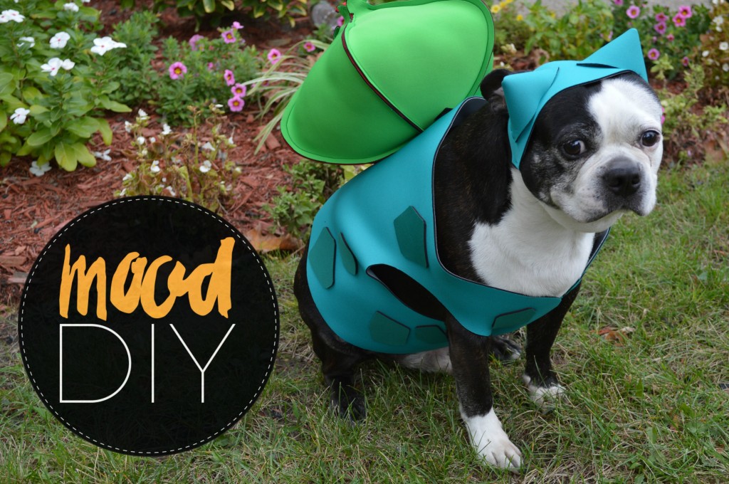 pokemon bulbasaur dog costume