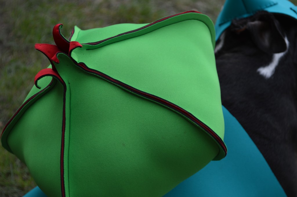 pokemon bulbasaur dog costume
