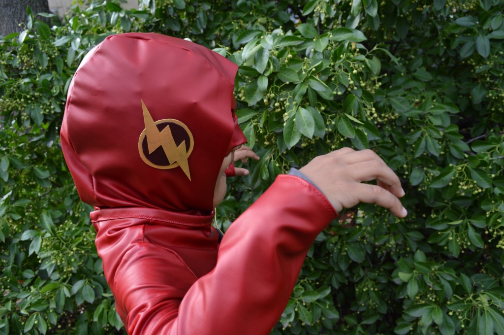 dc the flash halloween costume