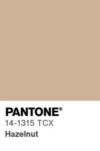 Pantone Hazelnut color swatch