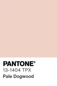 Pantone Pale Dogwood swatch