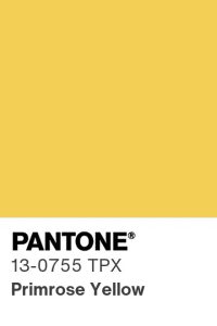 Pantone Primrose Yellow Swatch